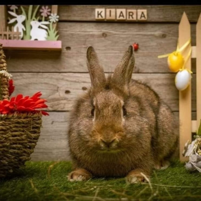 Photo de Kiara