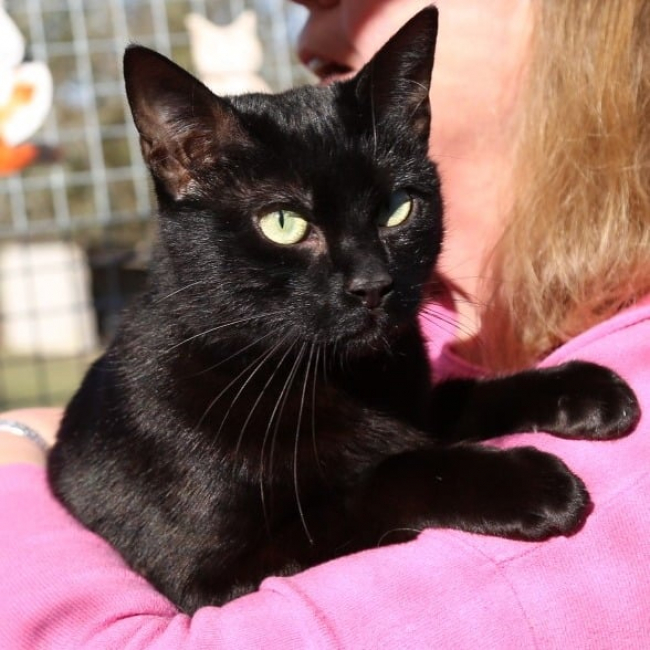 Photo de Blackie Boy