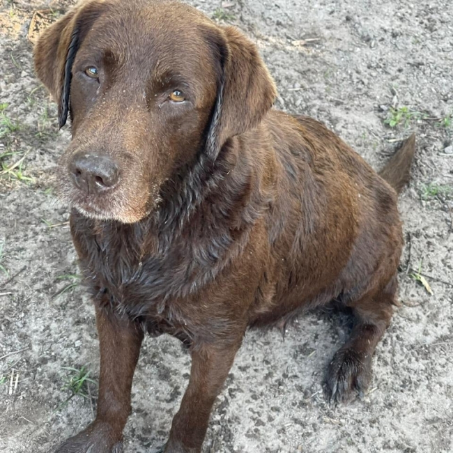 Photo de Praline