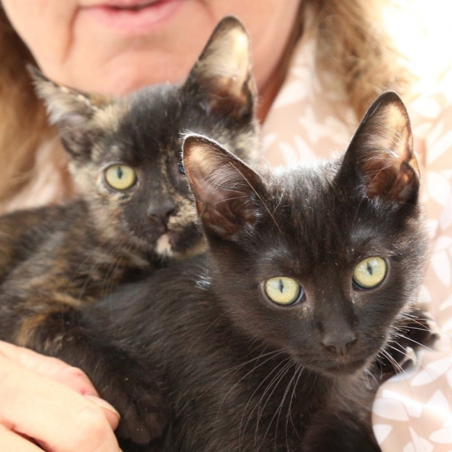 Photo de Idris et Rosanna