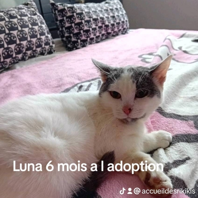 Photo de Luna