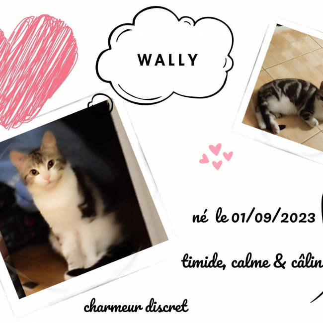 Photo de Wally