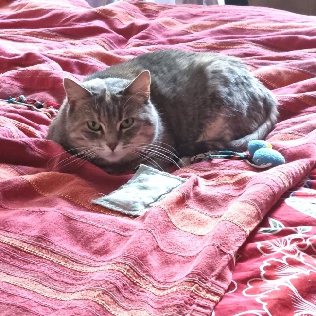 Photo de Paloma