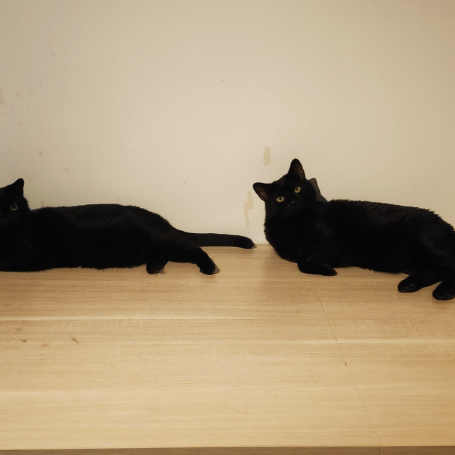 Photo de Lou et Jerry