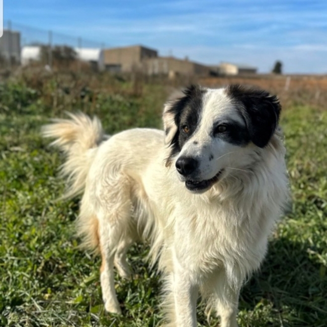 Photo de Duster
