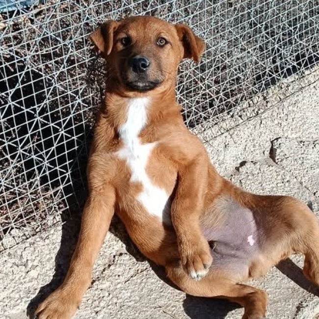 Photo de Rafa