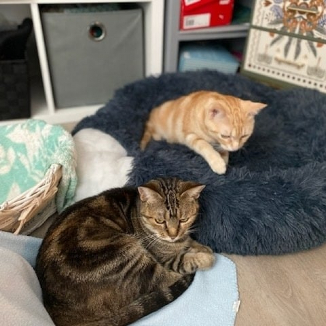 Photo de Naya et Mia