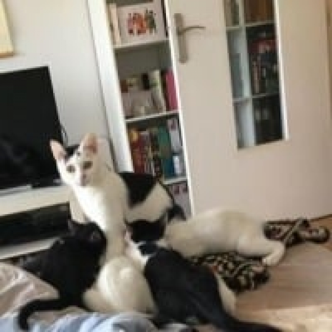 Photo de Gilda et Eden