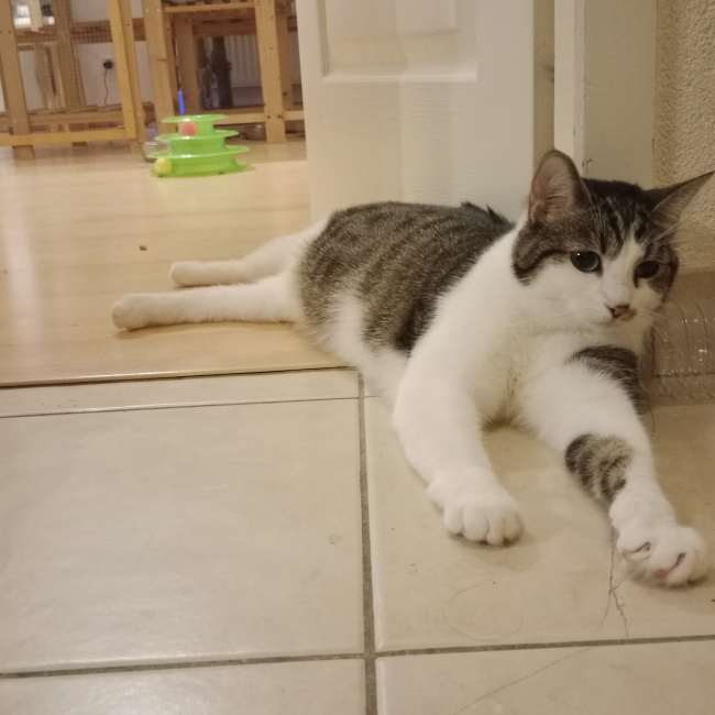Photo de Pepsi 