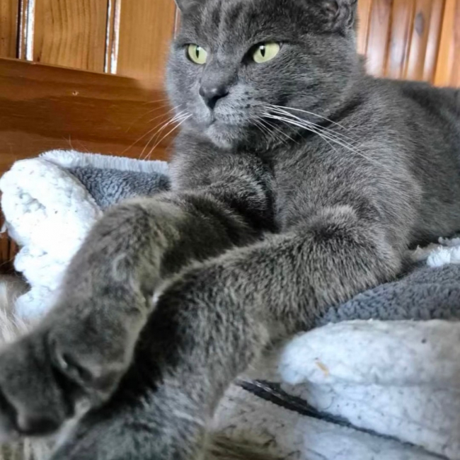 Photo de Milo 