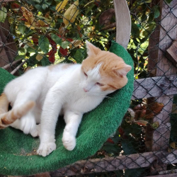 Photo de César