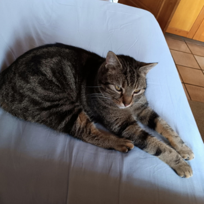 Photo de Mimi