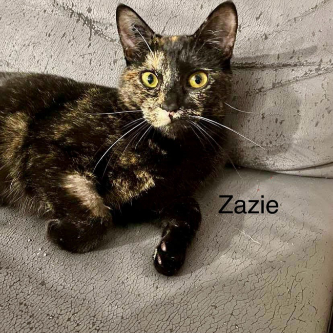 Photo de Zazie
