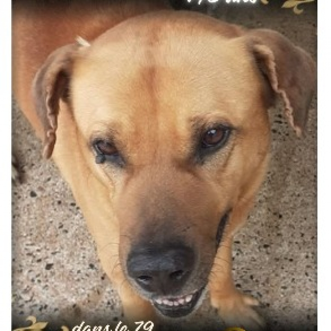 Photo de Drago