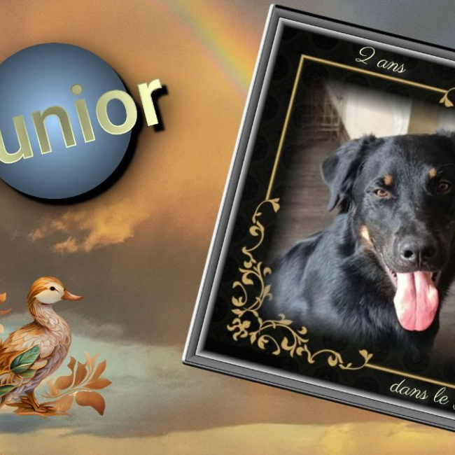 Photo de Junior