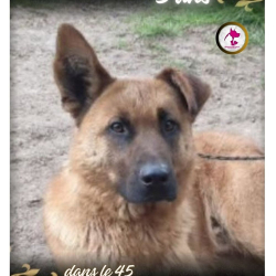 Photo de Sisko