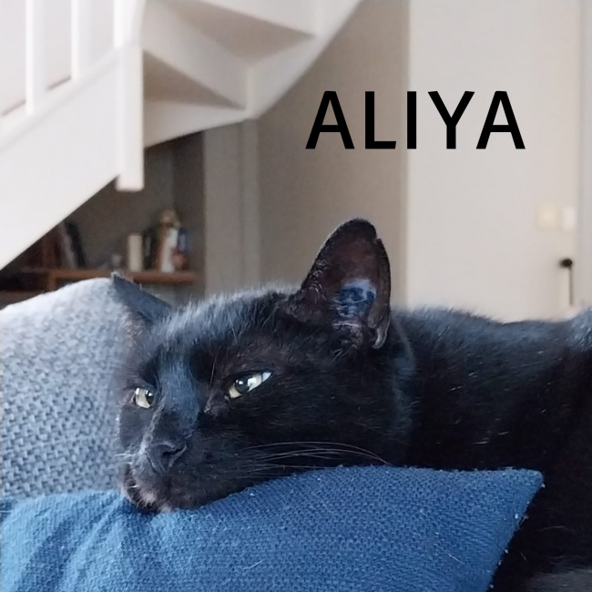Photo de Aliya