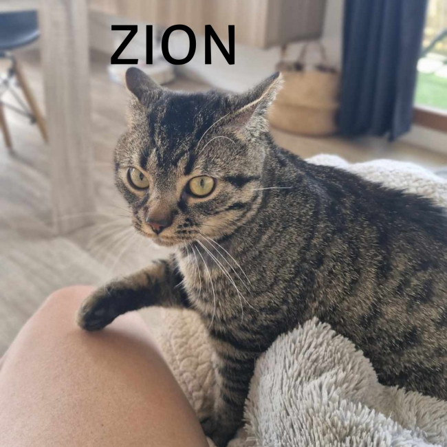 Photo de Zion