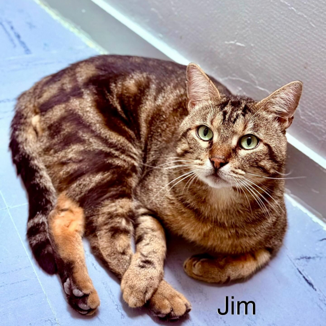 Photo de Jim