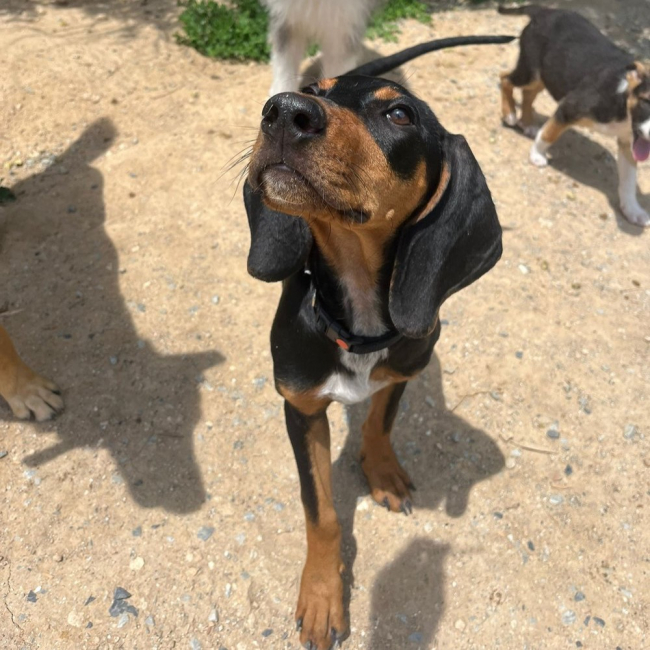 Photo de Marley
