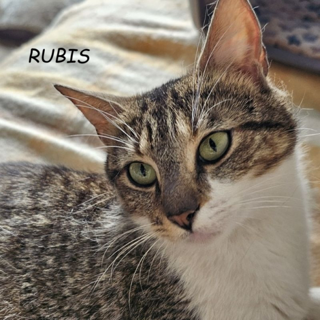 Photo de Rubis