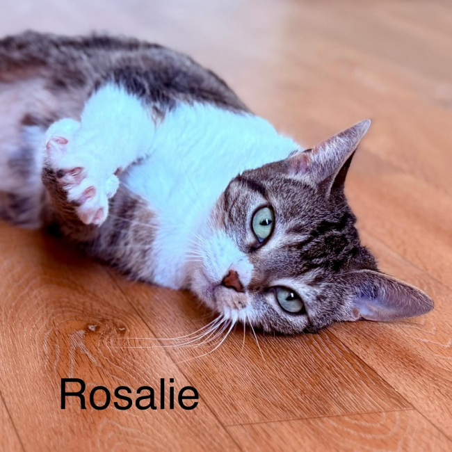Photo de Rosalie