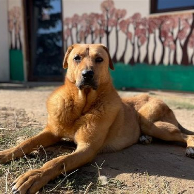 Photo de Zeus