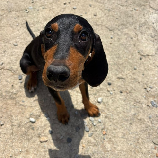 Photo de Marley