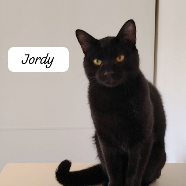 Photo de Jordy