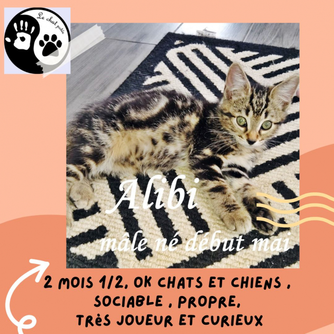 Photo de Alibi