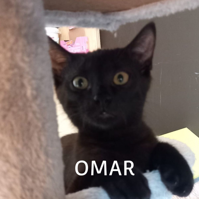 Photo de OMAR