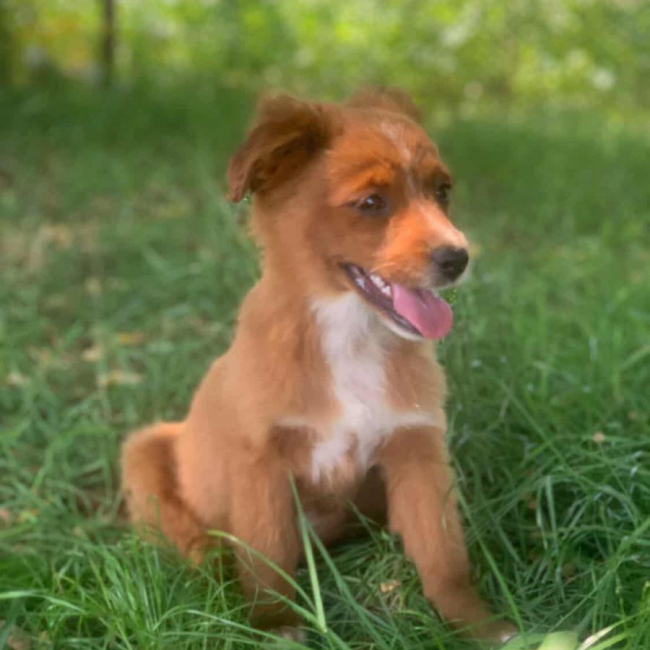 Photo de LUNA