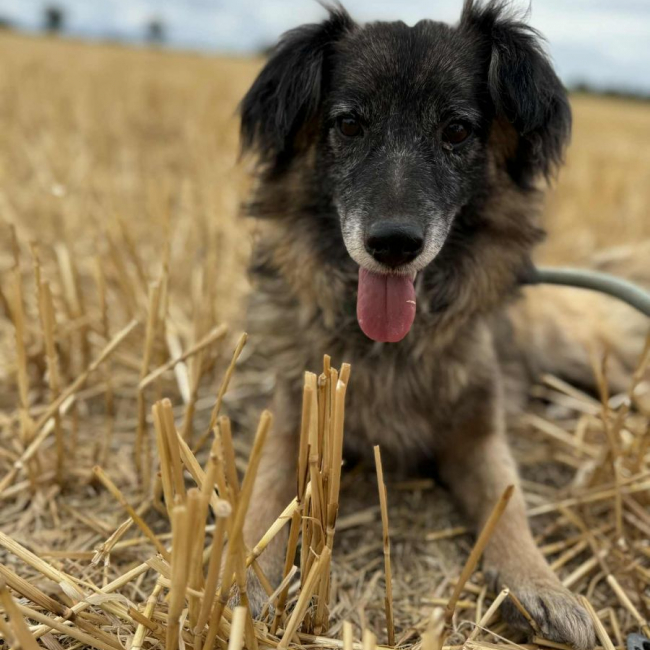 Photo de Bébé