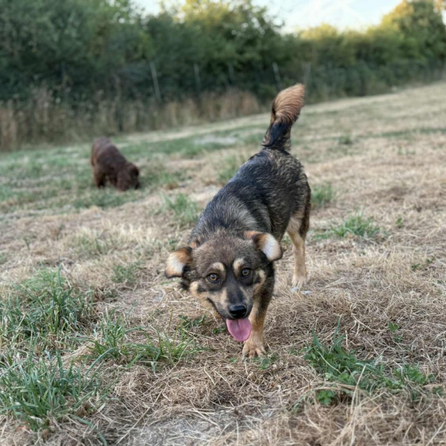 Photo de Filou