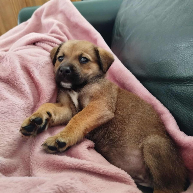 Photo de ATHENA