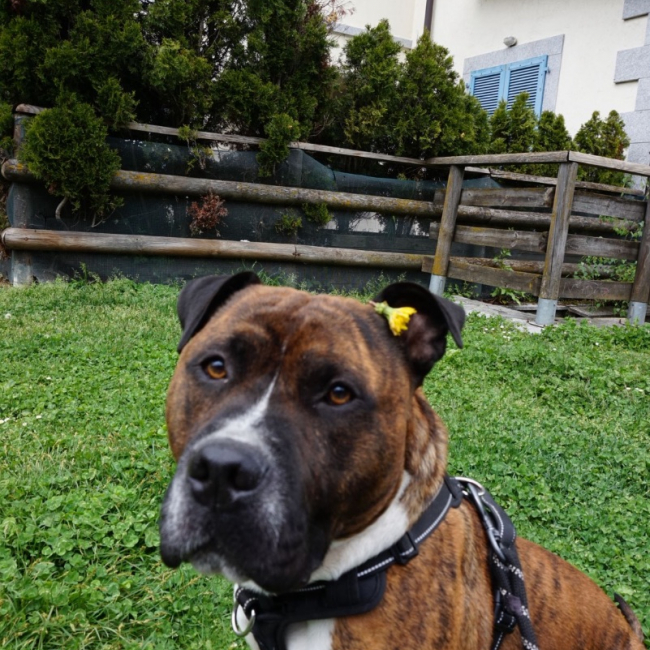 Photo de nino