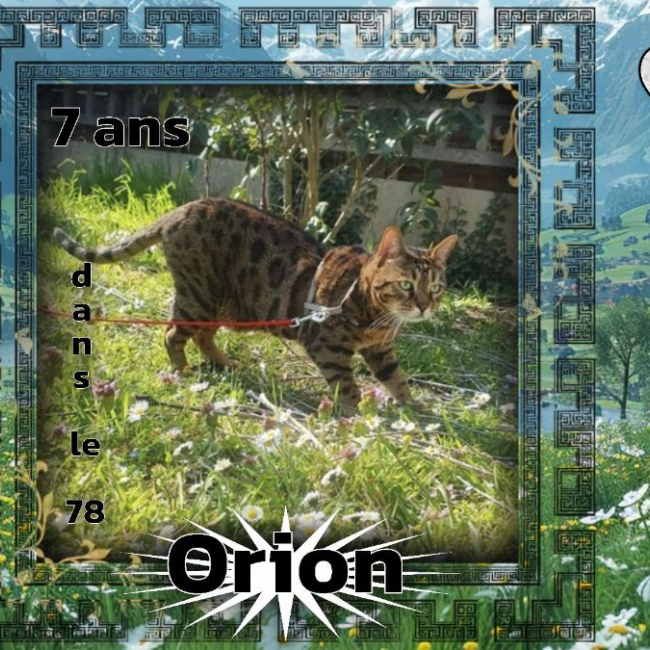 Photo de Orion