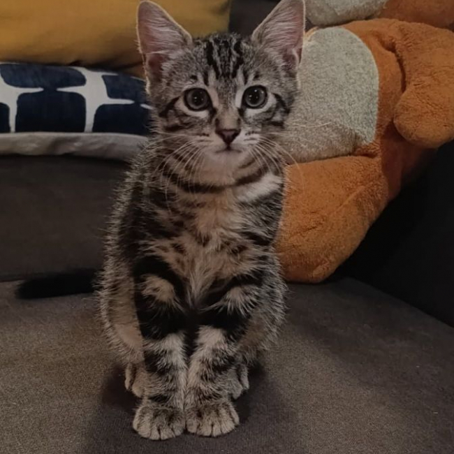 Photo de Aïko