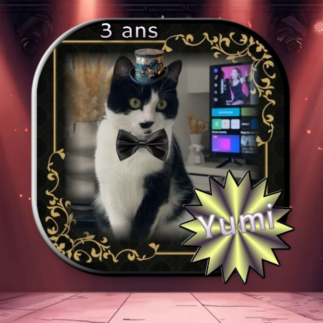 Photo de Yumi