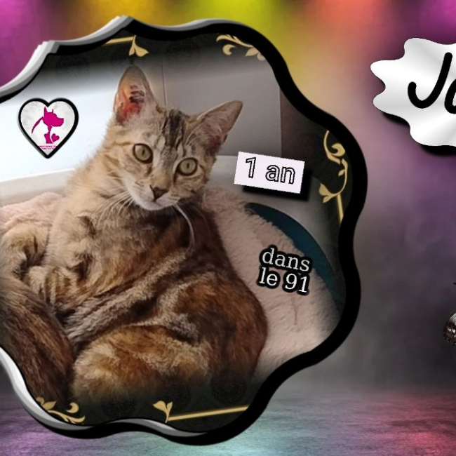 Photo de Jane