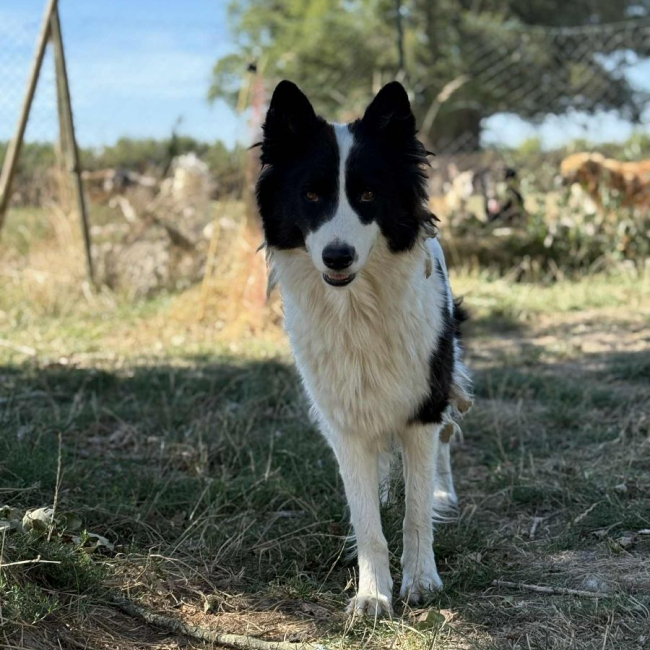 Photo de Ulysse
