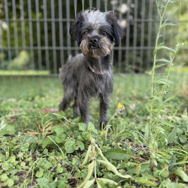 Photo de Enya