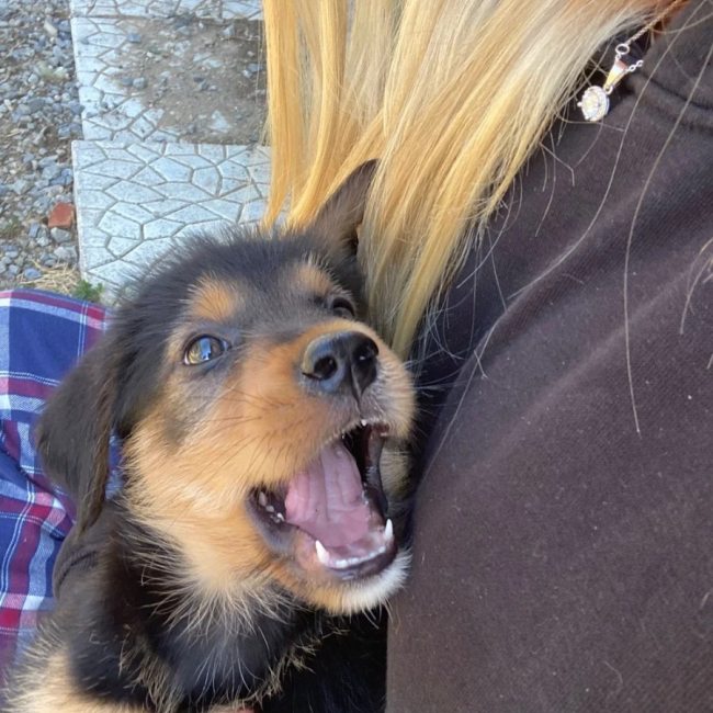 Photo de Zuko