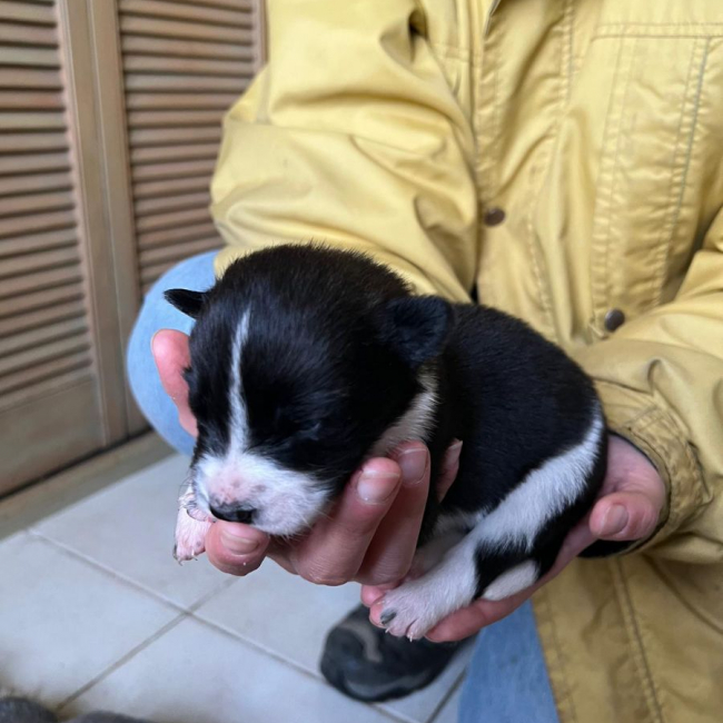 Photo de Freya