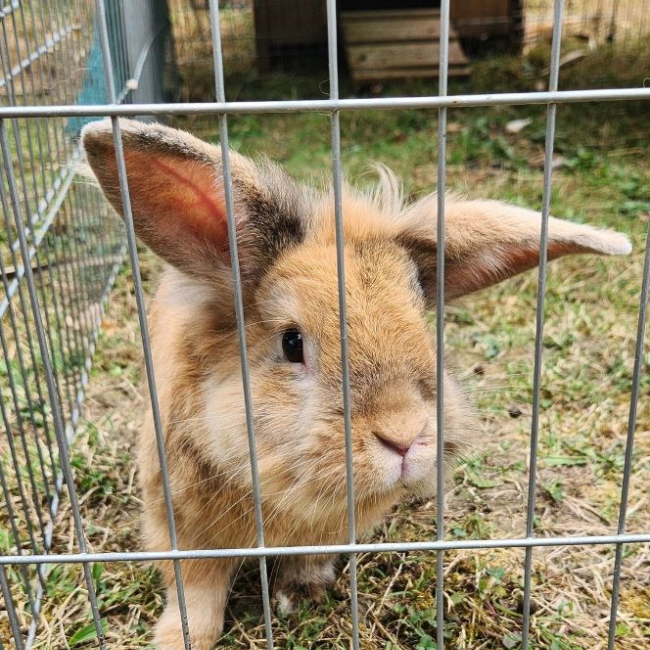 Photo de Spiky