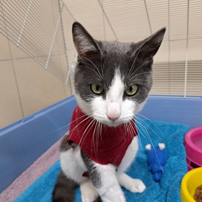 Photo de Artos réservé