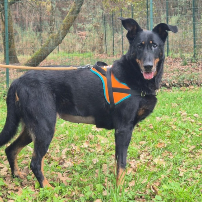 Photo de Nouba dite maya