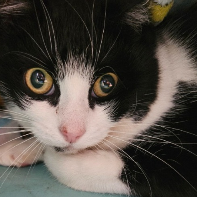 Photo de Sofia dit neige