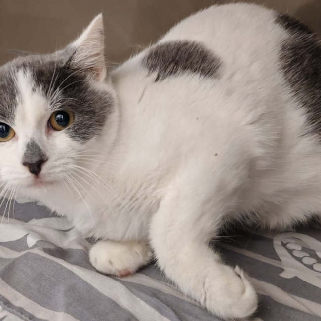 Photo de Croutard2.o