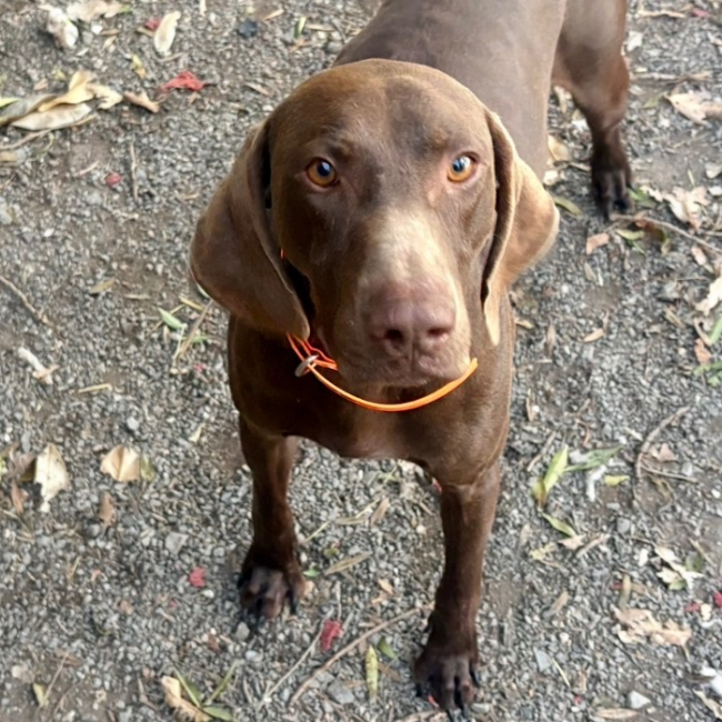 Photo de Ugolin del tessuor